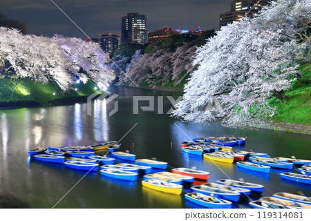 [Tokyo] Night cherry blossoms at Chidorigafuchi and rental boats 119314081