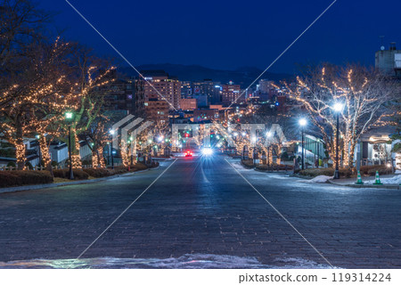 北海道函館市二十間坂的夜景 119314224