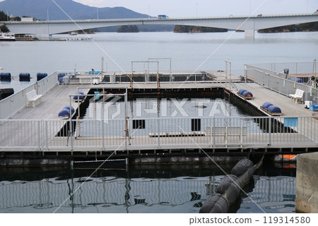 熊本天草水族館 海底水族館 海甜甜圈 119314580