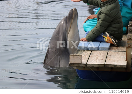 熊本天草水族館 海底水族館 海甜甜圈 119314619