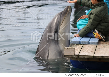 Kumamoto Amakusa Aquarium Undersea Aquarium Sea Donut Kumamoto Amakusa Aquarium Undersea Aquarium Sea Donut 119314623