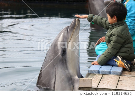 Kumamoto Amakusa Aquarium Undersea Aquarium Sea Donut 119314625