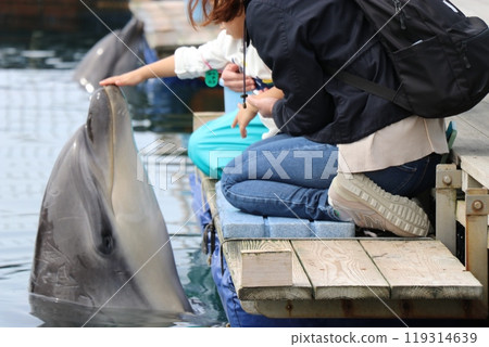 熊本天草水族館 海底水族館 海甜甜圈 熊本天草水族館 海底水族館 海甜甜圈 119314639