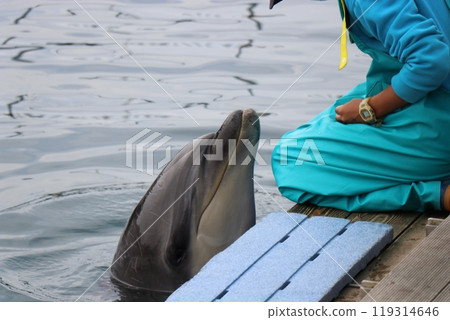 Kumamoto Amakusa Aquarium Undersea Aquarium Sea Donut 119314646