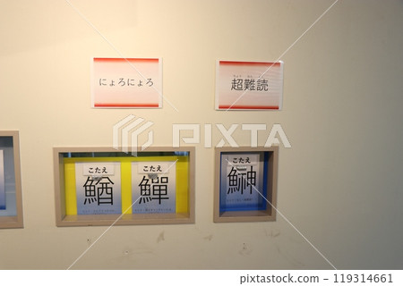 熊本天草水族館 海底水族館 海甜甜圈 119314661