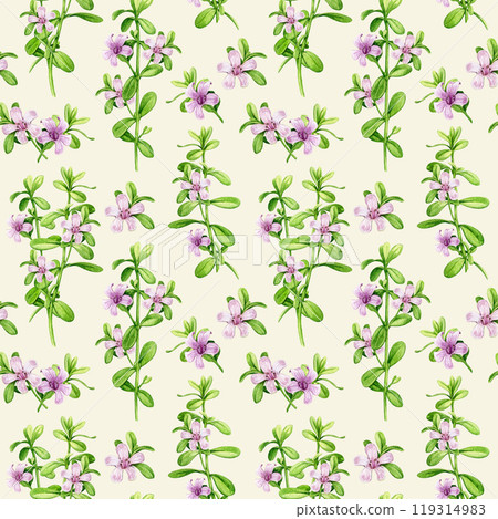 Bacopa medicinal herb seamless pattern. Hand drawn Bacopa monnieri adaptogenic herb watercolor botanical illustration. Brahmi herb ayurveda medicine seamless pattern design element Bacopa medicinal herb seamless pattern. Hand drawn Bacopa monnieri adaptogenic herb watercolor botanical illustration. Brahmi herb ayurveda medicine seamless pattern design element 119314983