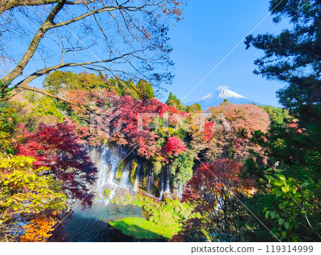 白絲瀑布和富士山(秋季) 白絲瀑布和富士山(秋季) 119314999