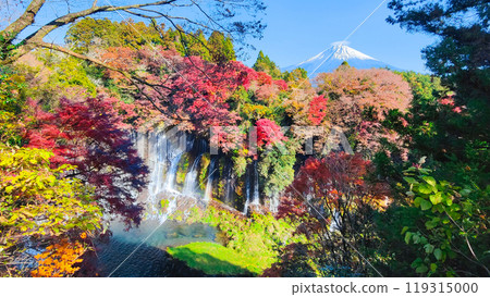 白絲瀑布和富士山(秋季) 白絲瀑布和富士山(秋季) 119315000