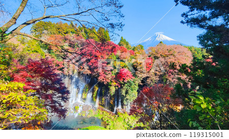 Shiraito Falls and Mt. Fuji (Autumn) 119315001