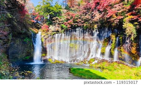 Shiraito Falls (Autumn) [Fujinomiya City] 119315017