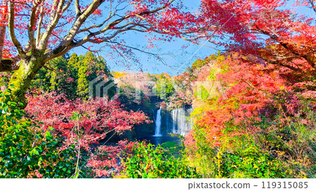 Shiraito Falls (Autumn) [Fujinomiya City] 119315085