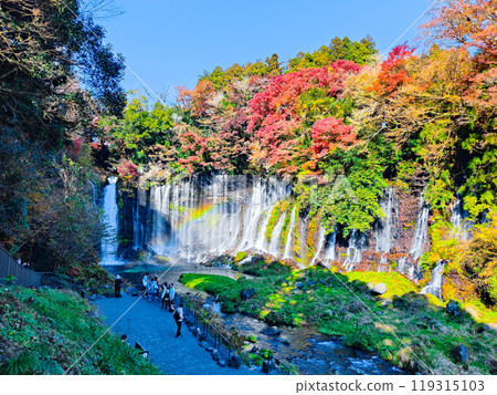 Shiraito Falls (Autumn) [Fujinomiya City] 119315103