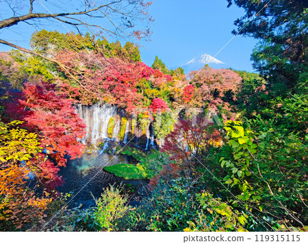 Shiraito Falls and Mt. Fuji (Autumn) Shiraito Falls and Mt. Fuji (Autumn) 119315115