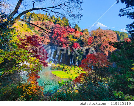 Shiraito Falls and Mt. Fuji (Autumn) 119315119