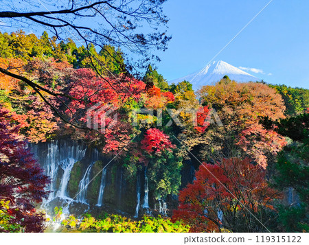 白絲瀑布和富士山(秋季) 白絲瀑布和富士山(秋季) 119315122
