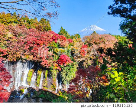 Shiraito Falls and Mt. Fuji (Autumn) Shiraito Falls and Mt. Fuji (Autumn) 119315125