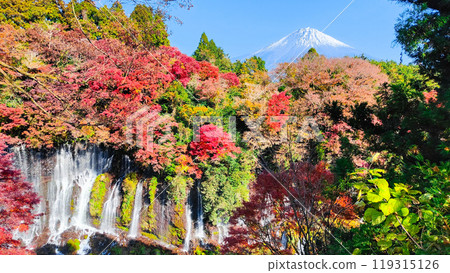 白絲瀑布和富士山（秋季） 119315126