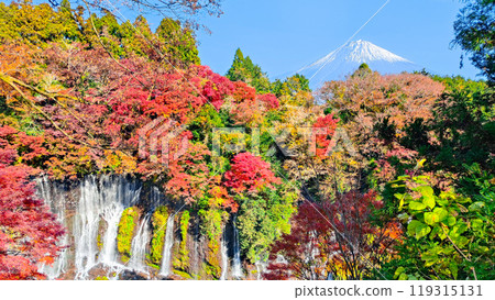 Shiraito Falls and Mt. Fuji (Autumn) 119315131