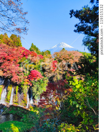 Shiraito Falls and Mt. Fuji (Autumn) Shiraito Falls and Mt. Fuji (Autumn) 119315132