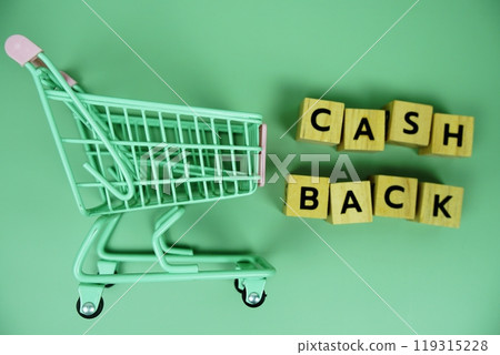 Cashback with wooden blocks alphabet letters and mini trolley shopping cart on green background 119315228