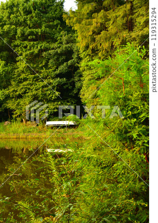 初秋的色彩開始變化，桶川市大池湖、城山公園 119315294