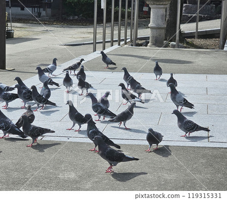 Jimokuji Kannon, Ama City, Aichi Prefecture, Jimokuji Jimokuji Kannon, Ama City, Aichi Prefecture, Jimokuji 119315331