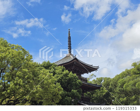 真目寺觀音 愛知縣 海間市 真目寺 119315333