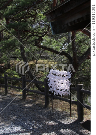 Omikuji 119315391