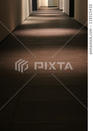 Corridor of building 119315410