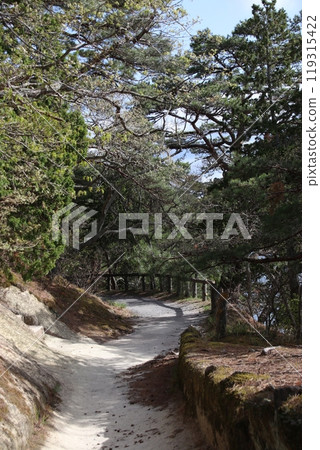 大島散步道 大島散步道 119315422
