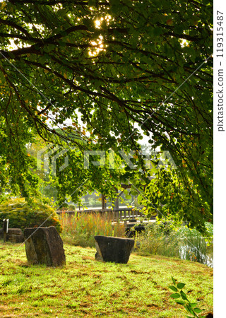 桶川市城山公園大池湖初秋樹葉開始變色 119315487