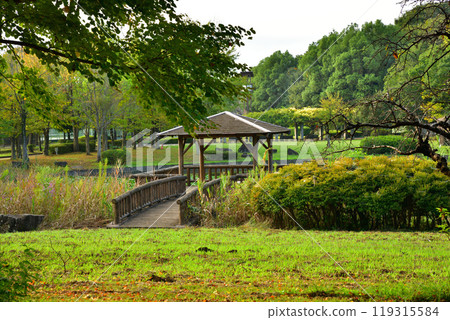 Early autumn colors begin to change at Lake Oike, Shiroyama Park, Okegawa City 119315584