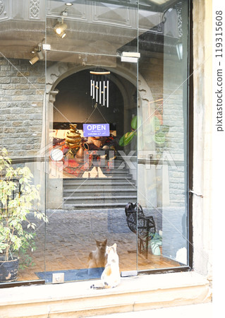 巴庫老城城牆城市的美麗街道 119315608