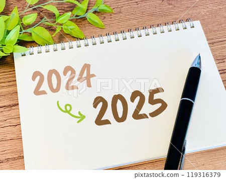 From 2024 to 2025 119316379