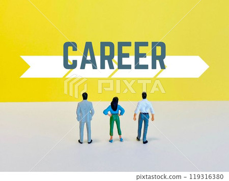 CAREER CAREER 119316380