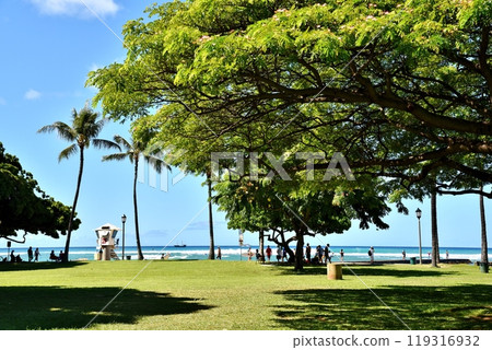 夏威夷的假期 夏威夷的假期 119316932