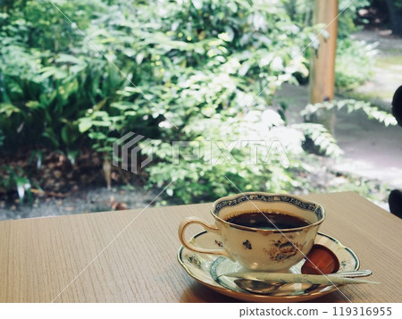 咖啡店的咖啡杯,可欣賞綠色花園的景色 咖啡店的咖啡杯,可欣賞綠色花園的景色 119316955