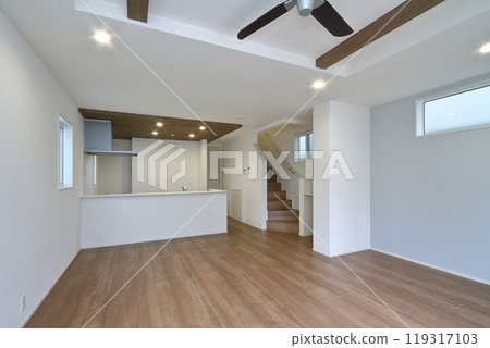 賽維LDK 賽維LDK 119317103