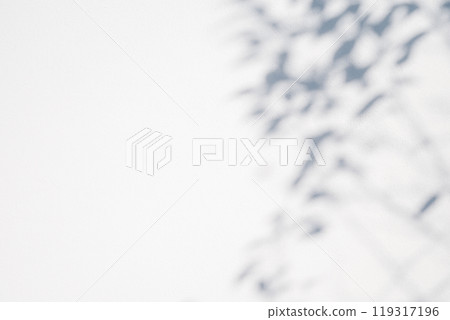 Shadow of a plant reflected on a white wall b-2-3 Cool colors, light 119317196