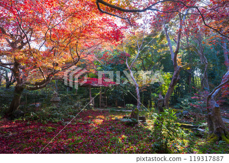 京都S峨野Enrian寺的秋葉 京都S峨野Enrian寺的秋葉 119317887