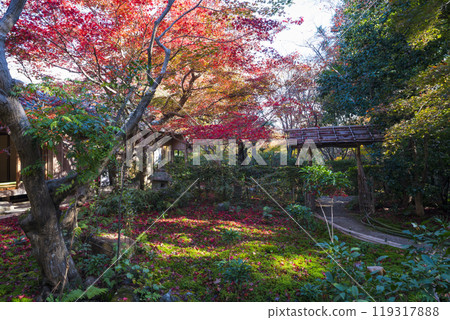 京都S峨野Enrian寺的秋葉 京都S峨野Enrian寺的秋葉 119317888