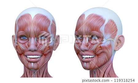 Close-up of a woman's face 119318254