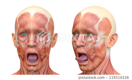Close-up of a man's face Close-up of a man's face 119318326