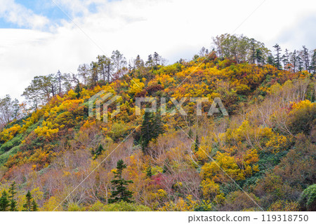 Autumn tsugaike nature park Autumn tsugaike nature park 119318750
