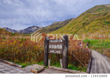 Autumn tsugaike nature park 119318800