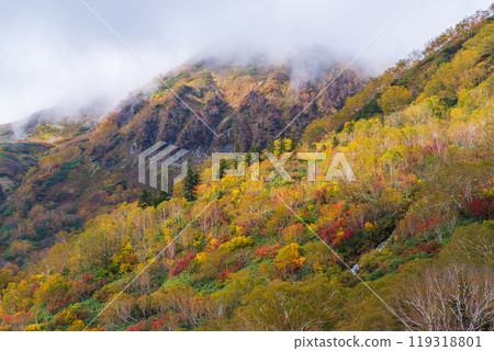 秋天tsugaike自然公園 119318801