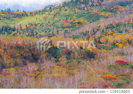 秋天tsugaike自然公園 119318803