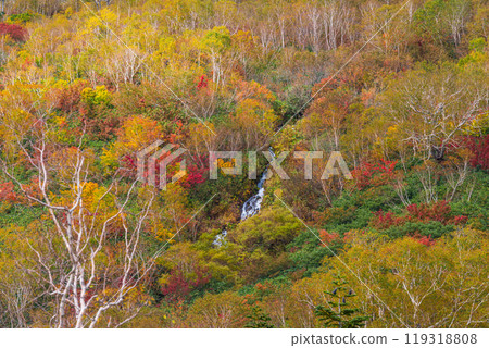 Autumn tsugaike nature park Autumn tsugaike nature park 119318808