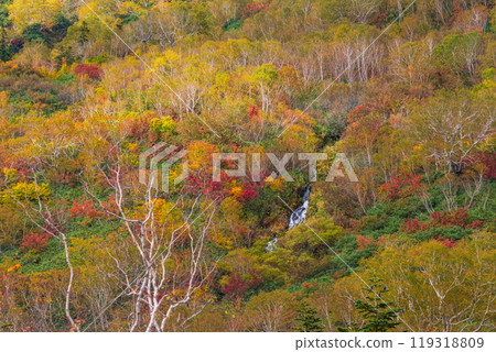Autumn tsugaike nature park Autumn tsugaike nature park 119318809