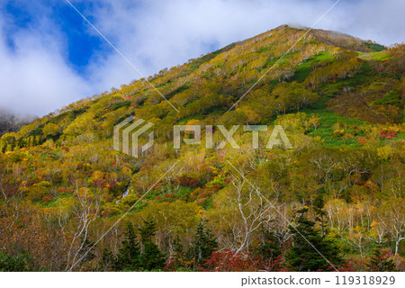 Tsugaike自然公園秋葉 119318929